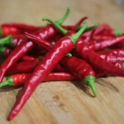cayenne-pepper-seeds-long-slim