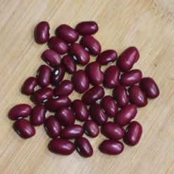 mexican-red-bean-seeds