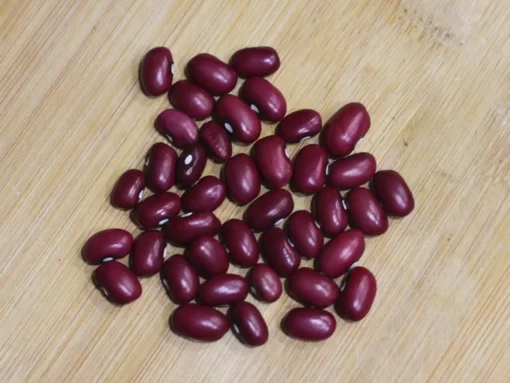 mexican-red-bean-seeds