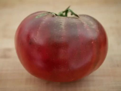 cherokee-purple-tomato-seeds-close