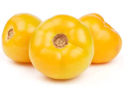yellow-beefsteak-tomato-seeds