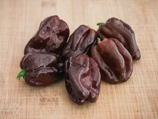 chocolate-habanero-pepper-seeds
