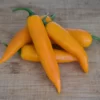 large-orange-thai-pepper-seeds
