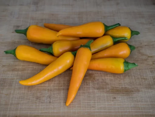 bulgarian-carrot-pepper-seeds