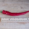 hot-portugal-pepper