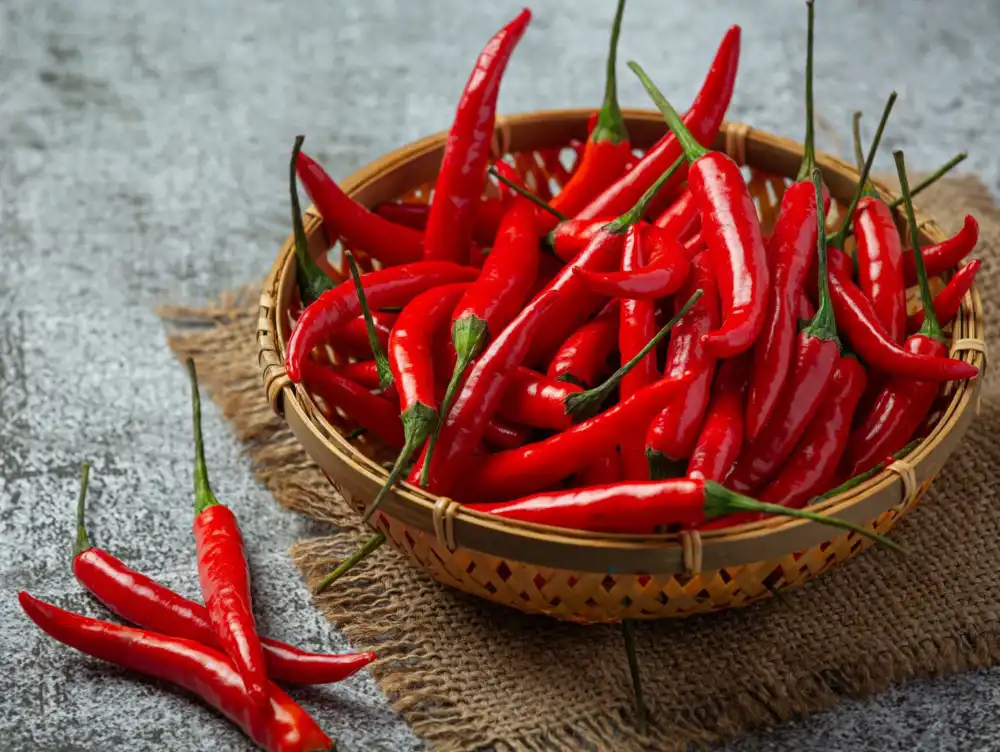 Boost Pepper Plant Growth and Increase Harvest