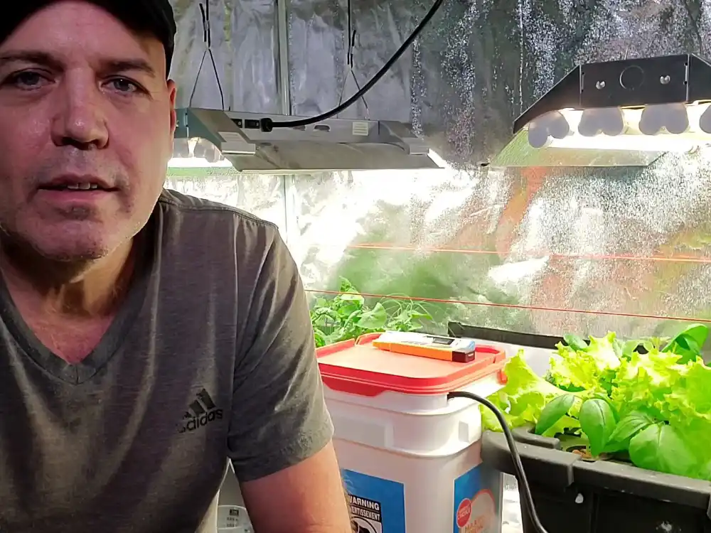 diy-aeroponics-hydroponics-system