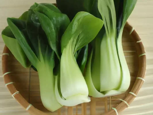 how-to-grow-bok-choy