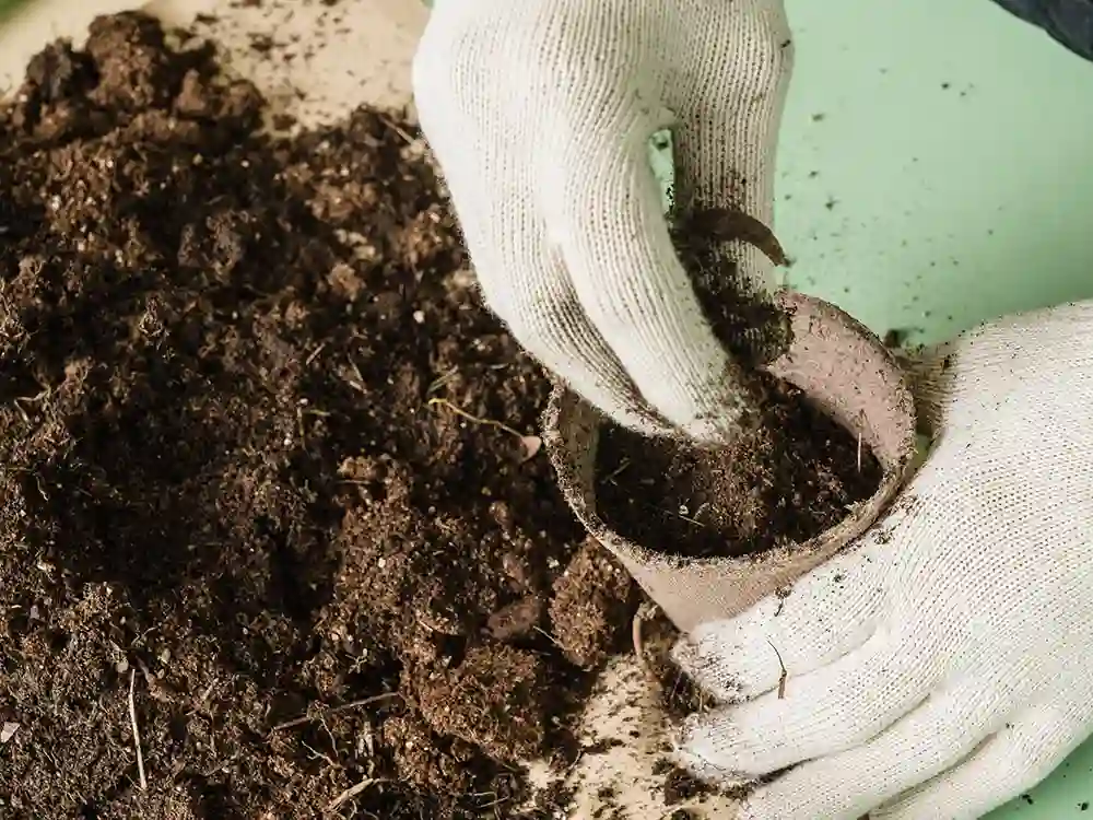 planting-seeds
