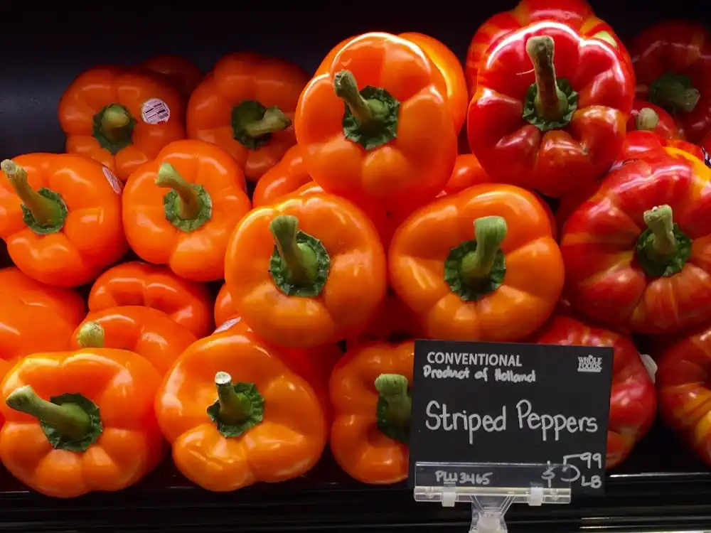 Can You Grow Peppers from the Grocery Store