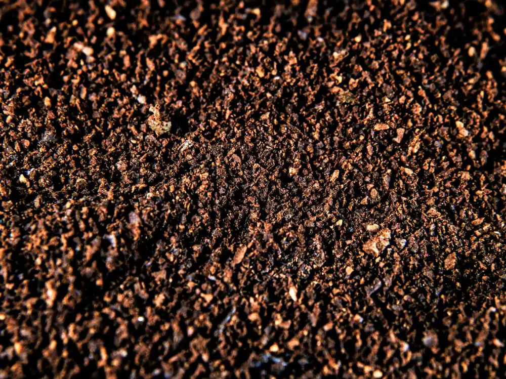 do coffee grounds help peppers grow