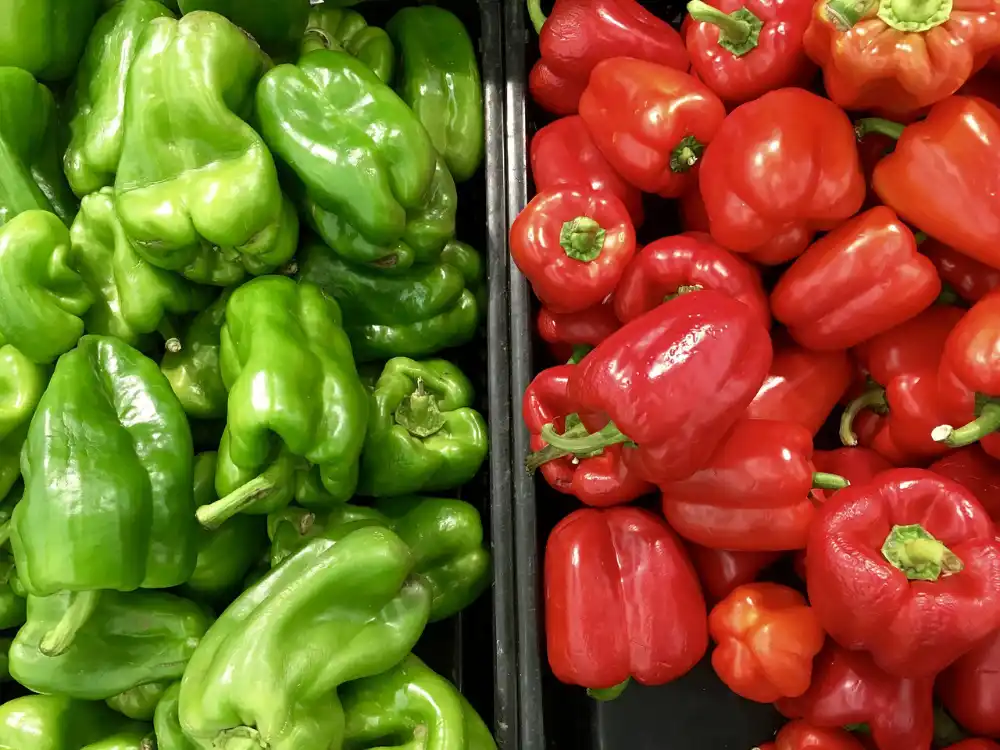 the difference between heirloom and hybrid peppers